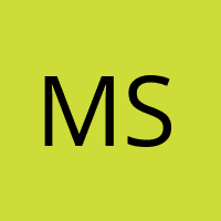 Maiden Erlegh School logo